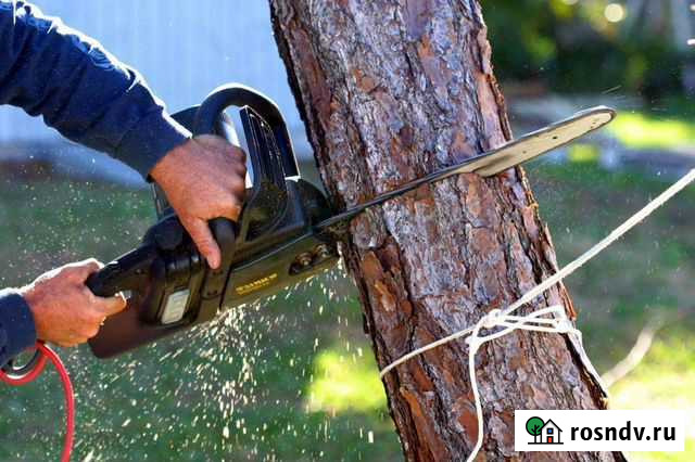 Очистим участок Тула - изображение 1