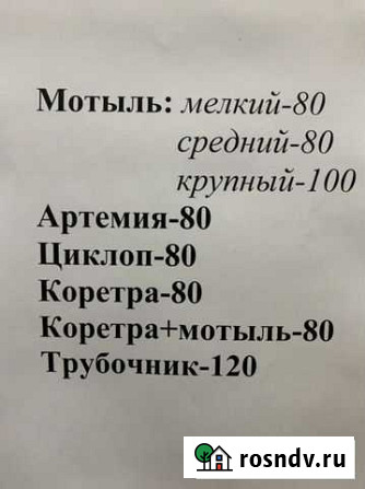 Замороженные корма для аквариумных рыбок Тамбов - изображение 1