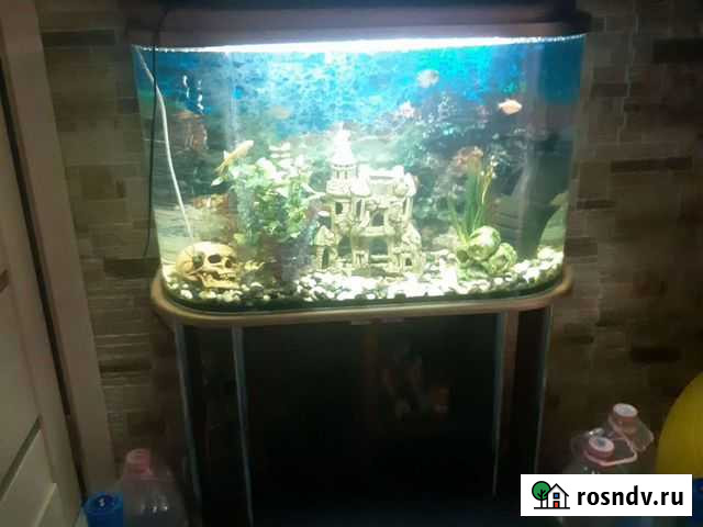 Аквариум с тумбой 105 литров Коломна - изображение 1