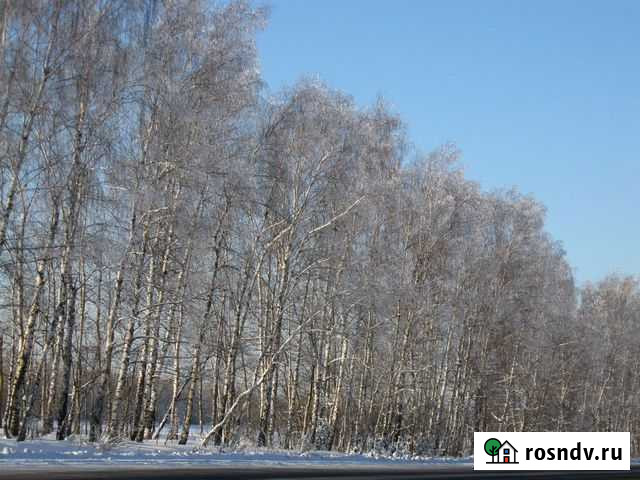 Холодильное оборудование ремонт Нижний Новгород - изображение 1