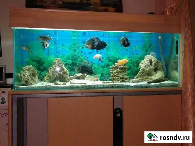 Аквариум 400литров Гатчина - изображение 1