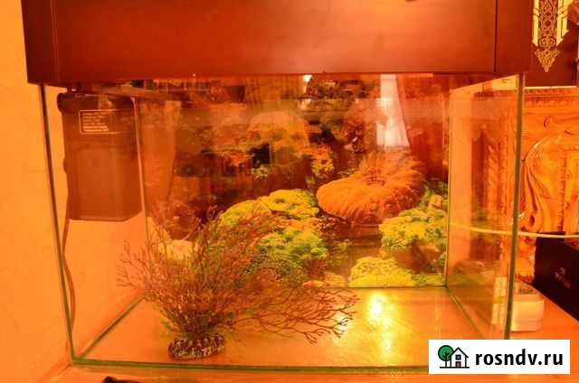 Аквариум 35л + Освещение + Фильтр + Растения Уфа - изображение 1