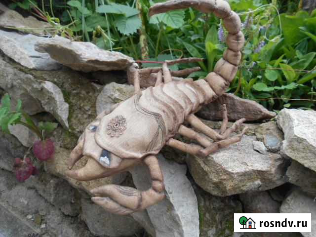 Скорпион Людиново - изображение 1