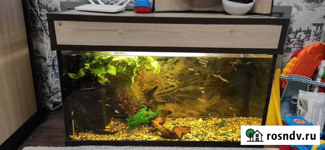 Аквариум 100л Домодедово - изображение 1
