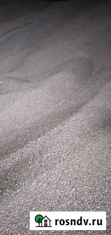 Овес Карагайлинский - изображение 1