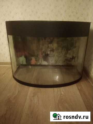 Аквариум Красноярск - изображение 1