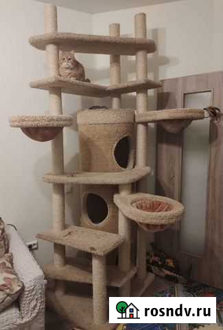 Комплекс для котов Дубна - изображение 1