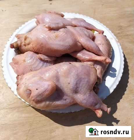 Мясо перепелов тушки перепелов мясо домашней птицы Хохольский - изображение 1
