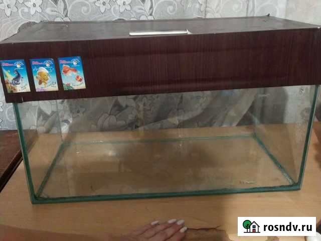 Аквариум Волгодонск - изображение 1