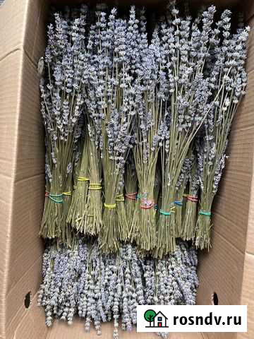 Лавандин (опт,розница) Симоненко - изображение 1