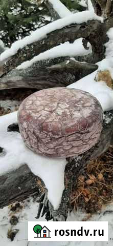 Сыр Канталь козий Первоуральск - изображение 1