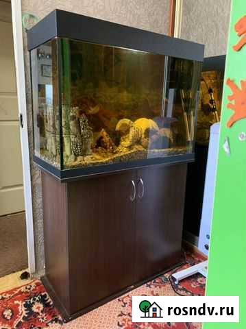 Аквариум Лобня - изображение 1