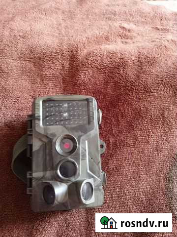 Фотоловушка Кушнаренково - изображение 1