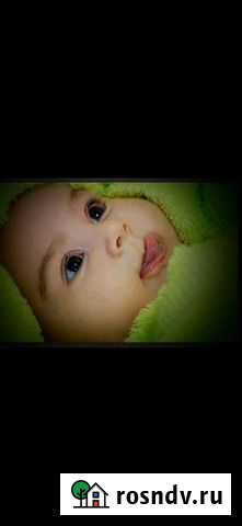 Схема малыша Липецк - изображение 1