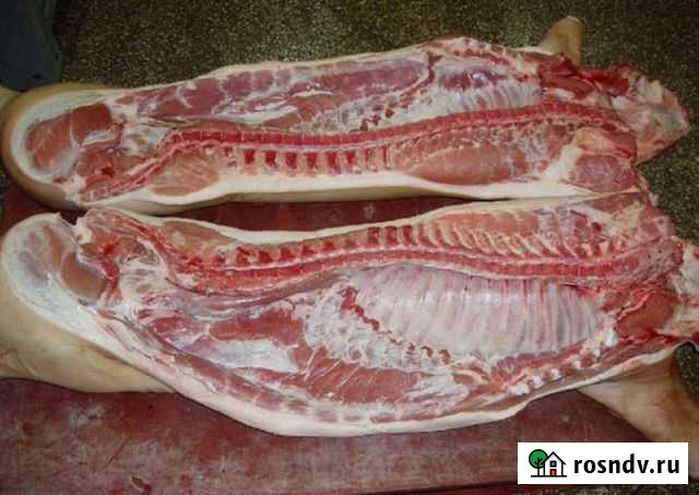 Мясо свинина домашняя Волгодонск - изображение 1