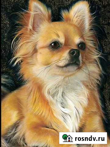 Алмазная мозайка набор Нижний Новгород - изображение 1