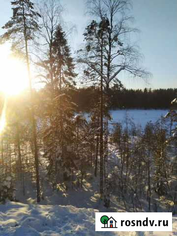 Сдам дом на берегу озера с баней Суоярви - изображение 1