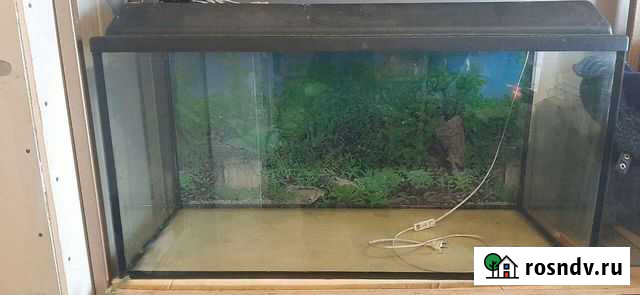 Аквариум Елабуга - изображение 1