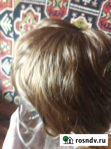 Парик Матвеев-Курган - изображение 1