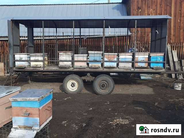 Прицеп пчеловоз, 2013 Минусинск - изображение 1