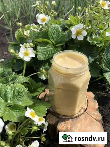 Крем-мёд, крем-мёд с пыльцой Таловая - изображение 1