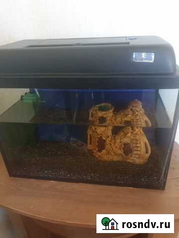 Аквариум Набережные Челны - изображение 1