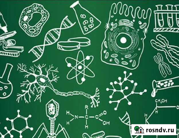 Репетиторпо биологии, химии Санкт-Петербург - изображение 1