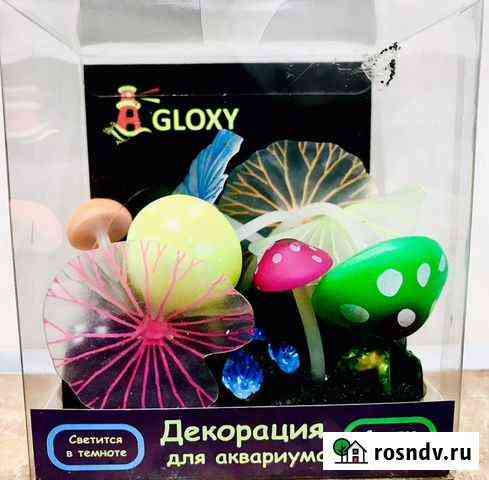 Грот Gloxy флуорисцентный декор Грибы Красноярск