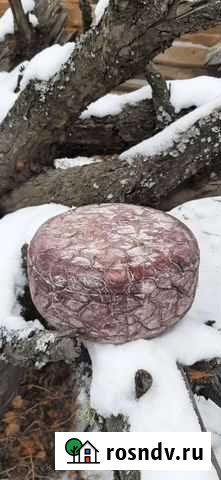 Сыр Канталь козий Сургут - изображение 1