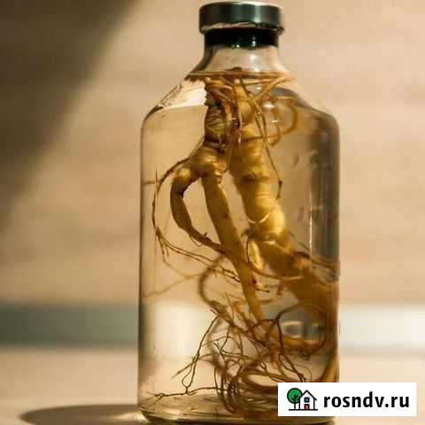 Корень женьшеня Калининград - изображение 1
