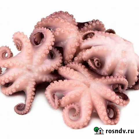 Осьминоги молодые 1кг Реутов - изображение 1