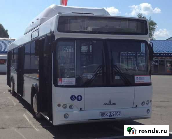 Городской автобус МАЗ 103965, 2021 Благовещенск - изображение 1