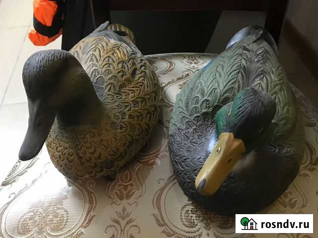 Чучела уток для охоты Хасавюрт - изображение 1