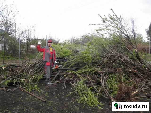 Расчистка участка Астрахань - изображение 1