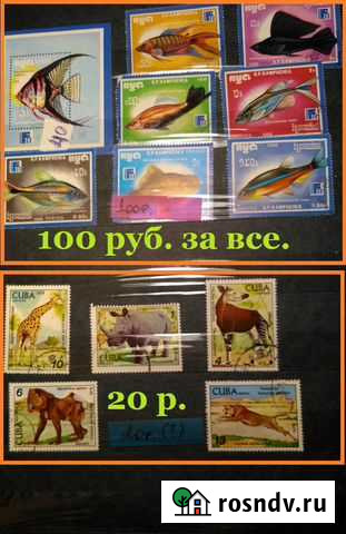 Коллекции марок. №1 Симферополь - изображение 1