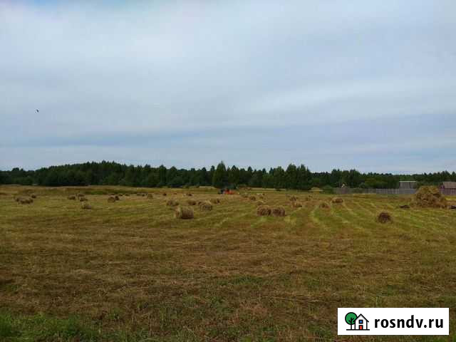 Сено луговое в рулонах 2021 Гусевский - изображение 1