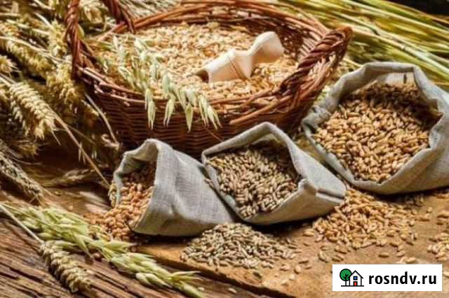 Комбикорм Чернянка - изображение 1