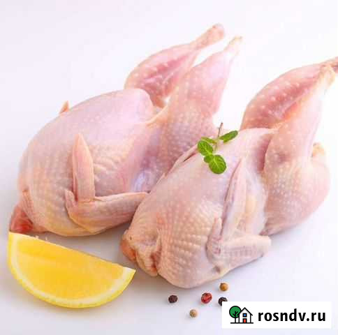 Парное Мясо перепелиное перепела перепелов Егорьевск - изображение 1