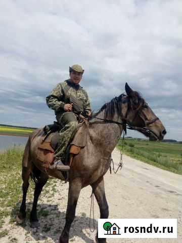 Сантехник Услуги сантехника и мастера на час Самара - изображение 1