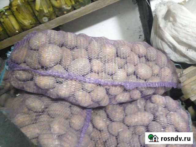 Продам картофель с доставкой Погар - изображение 1