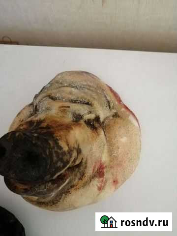 Мясо Чудово - изображение 1