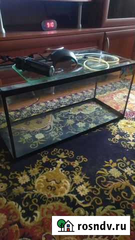 Аквариум Киров - изображение 1