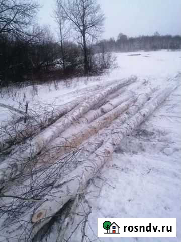 Берёза кругляк деловая.дрова Ишимбай - изображение 1