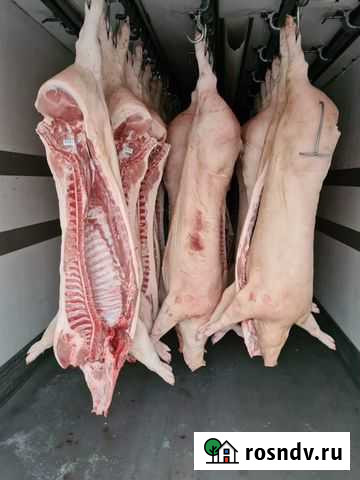 Мясо свинина Тюмень - изображение 1