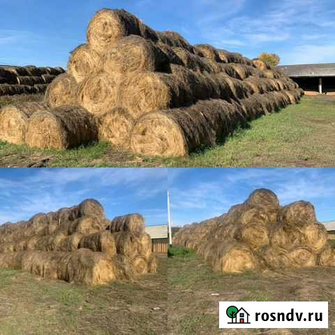 Сено Саянск - изображение 1