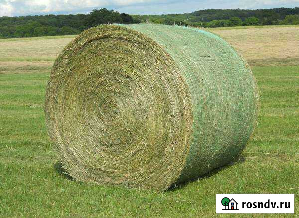 Сено луговое 300кг. есть доставка Курчатов - изображение 1