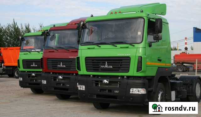 МАЗ 5440, 2021 Санкт-Петербург - изображение 1