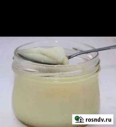 Продам жир барсучий Карасук