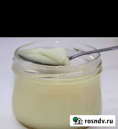 Продам жир барсучий Карасук - изображение 1