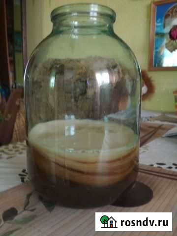 Отдам чайный гриб за Дзержинск - изображение 1